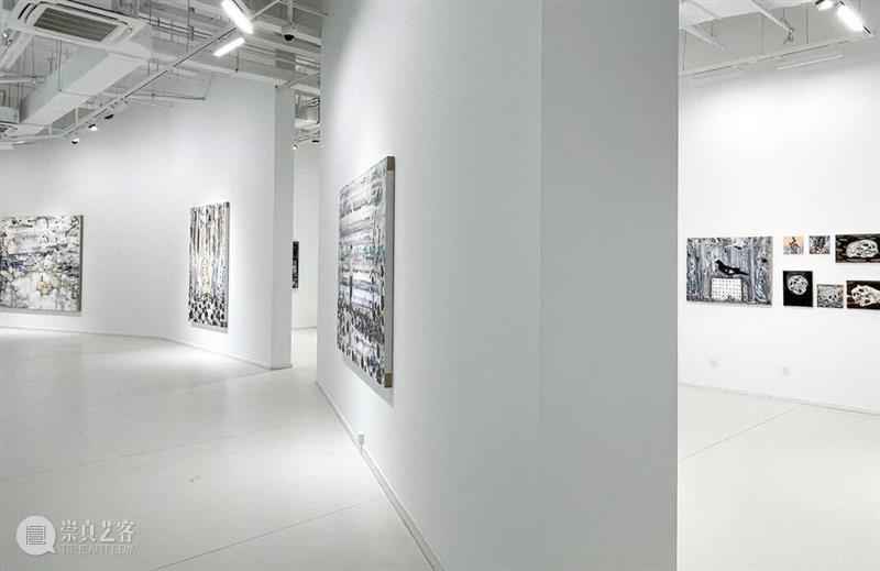正在进行 In Progress | 隐匿者/波光、斑点/绿—李继开个展 崇真艺客