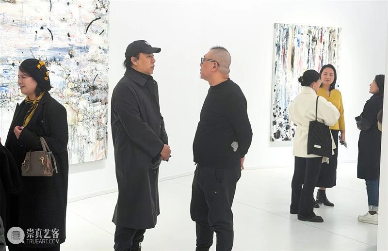 正在进行 In Progress | 隐匿者/波光、斑点/绿—李继开个展 崇真艺客