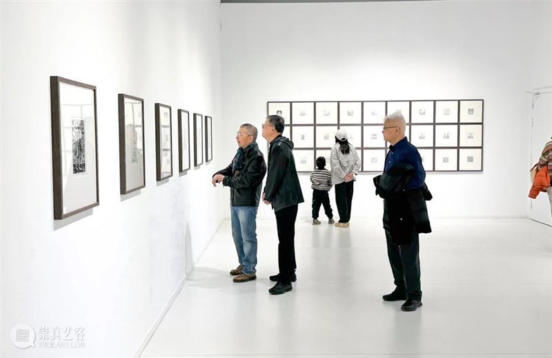 正在进行 In Progress | 隐匿者/波光、斑点/绿—李继开个展 崇真艺客