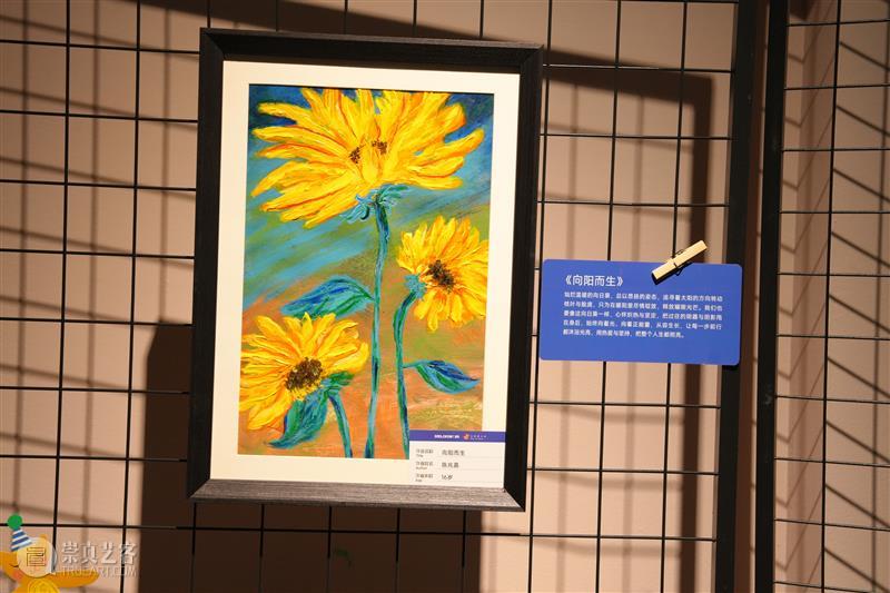 “我眼中的世界”孤独症儿童青少年画展亮相碧云美术馆 展览 中国 上海市碧云美术馆 德力西集团 大米和小米  崇真艺客