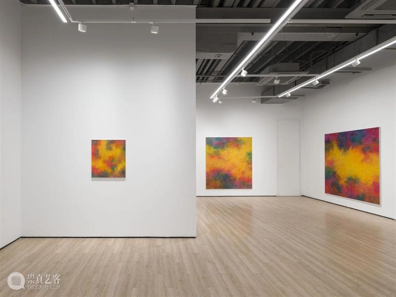 展览现场|让-巴蒂斯特·贝尔纳代(Jean-Baptiste Bernadet)「香根草(上海)」@ 阿尔敏·莱希 - 上海 崇真艺客