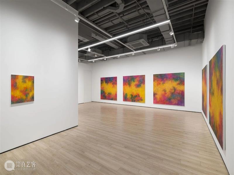 展览现场|让-巴蒂斯特·贝尔纳代(Jean-Baptiste Bernadet)「香根草(上海)」@ 阿尔敏·莱希 - 上海 崇真艺客