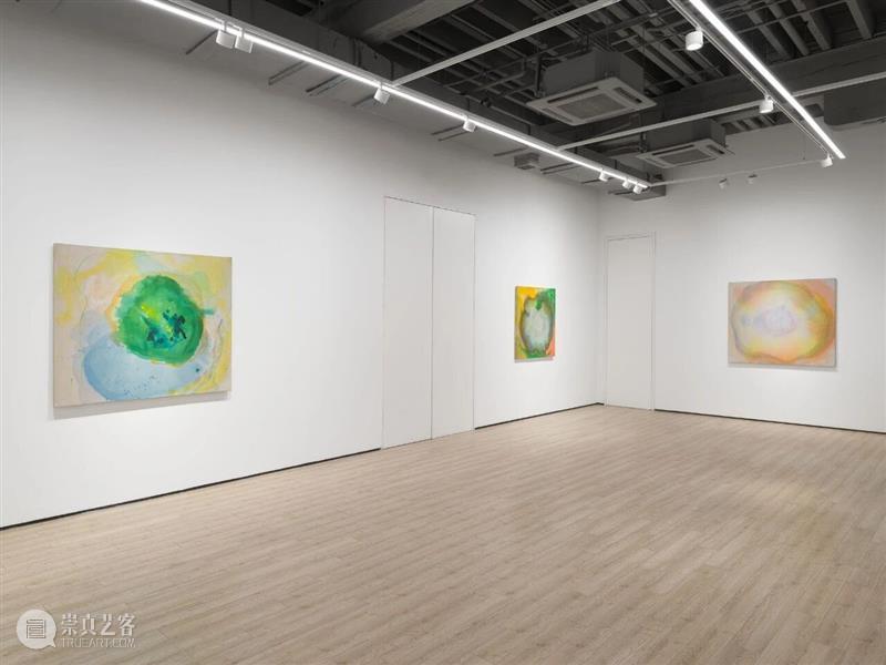 展览现场|维维安·斯普林福德(Vivian Springford)@ 阿尔敏·莱希 - 上海 崇真艺客