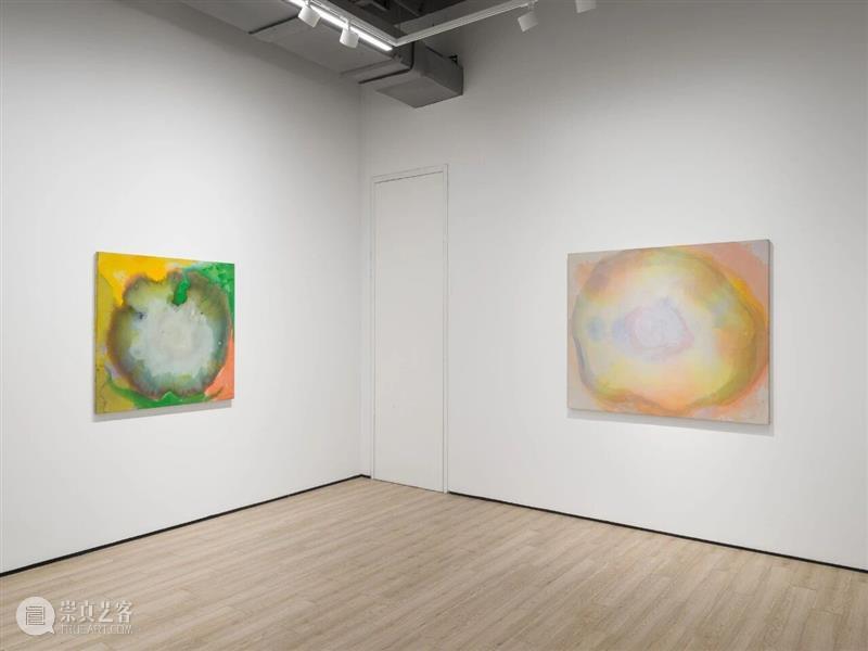 展览现场|维维安·斯普林福德(Vivian Springford)@ 阿尔敏·莱希 - 上海 崇真艺客