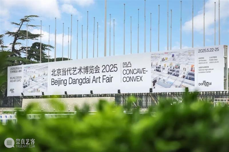 TANK会员丨美术馆之友2025年度回顾 崇真艺客