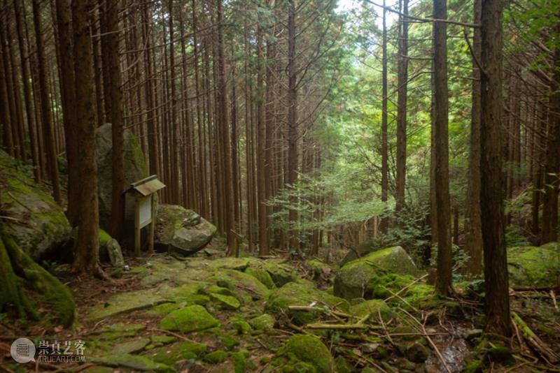 文章 Article｜张军：普洛花园 The Protean Garden 视频资讯 ARR 崇真艺客