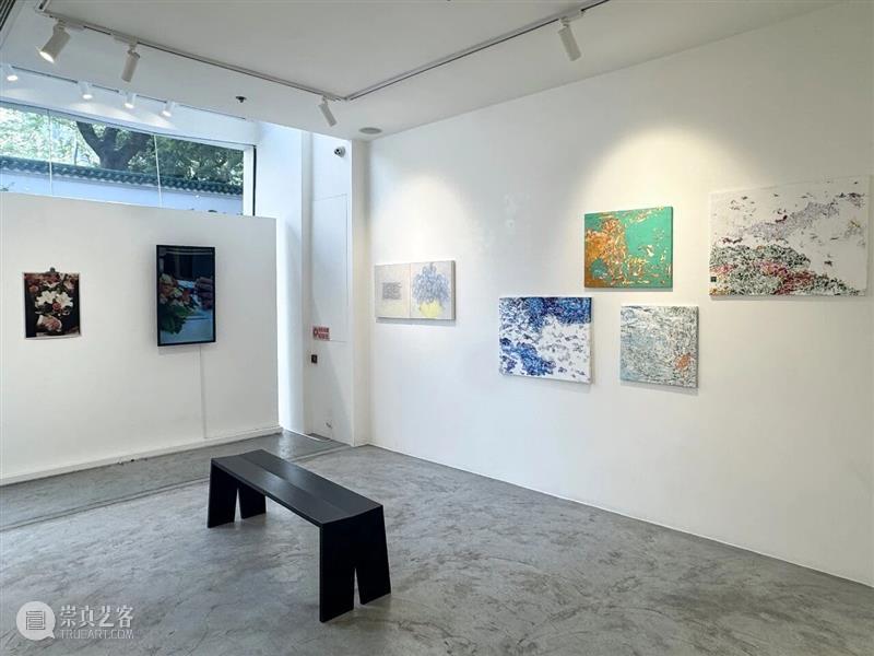 开幕回顾 | 由陈瑞琦策展香港艺术家联展 Still be-Life 崇真艺客
