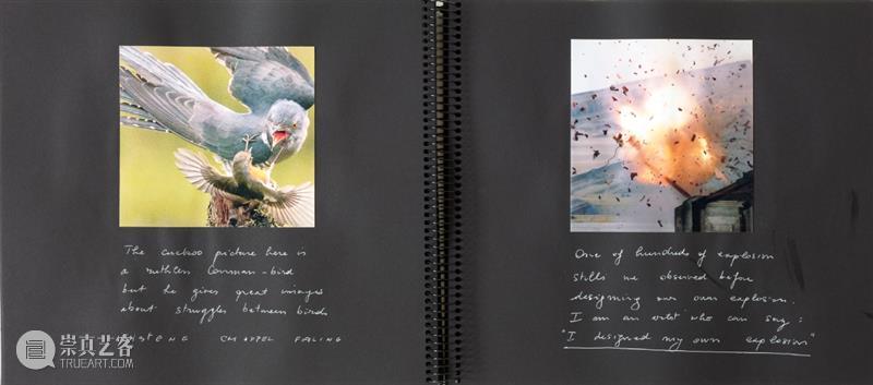 Cloud NOW | 展览作品「大卫·克拉耶博：鸟笼」 视频资讯 萃舍云集 崇真艺客