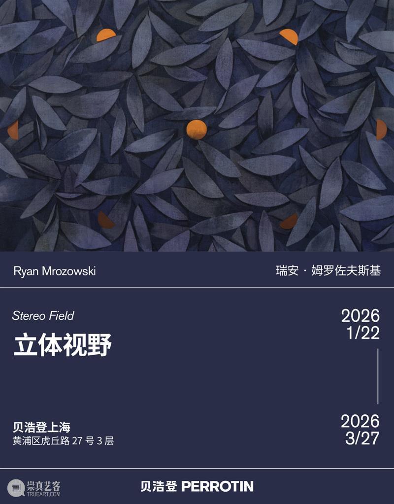 贝浩登上海｜瑞安·姆罗佐夫斯基个展“立体视野”即将开幕 崇真艺客
