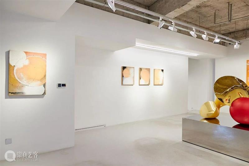 开幕现场丨柔软的共生——2026当代女性艺术家邀请展 崇真艺客