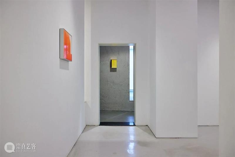 开幕现场丨柔软的共生——2026当代女性艺术家邀请展 崇真艺客