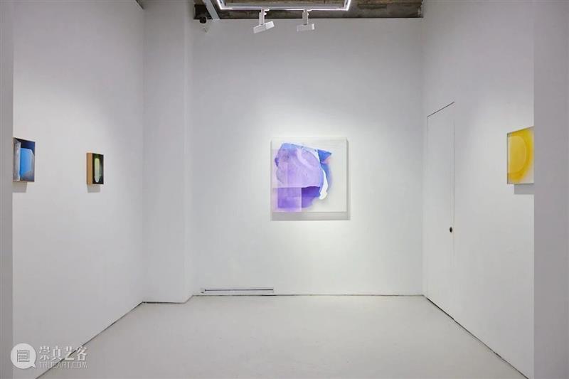 开幕现场丨柔软的共生——2026当代女性艺术家邀请展 崇真艺客