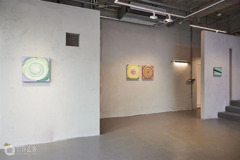 开幕现场丨柔软的共生——2026当代女性艺术家邀请展 崇真艺客