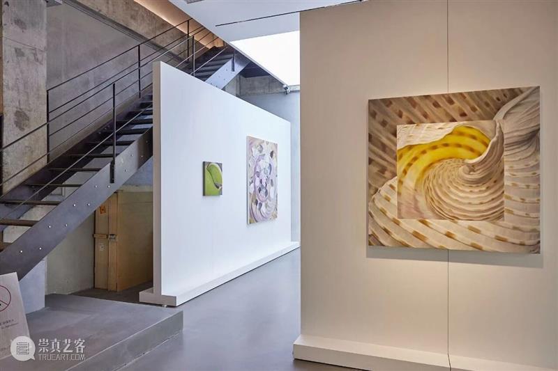 开幕现场丨柔软的共生——2026当代女性艺术家邀请展 崇真艺客