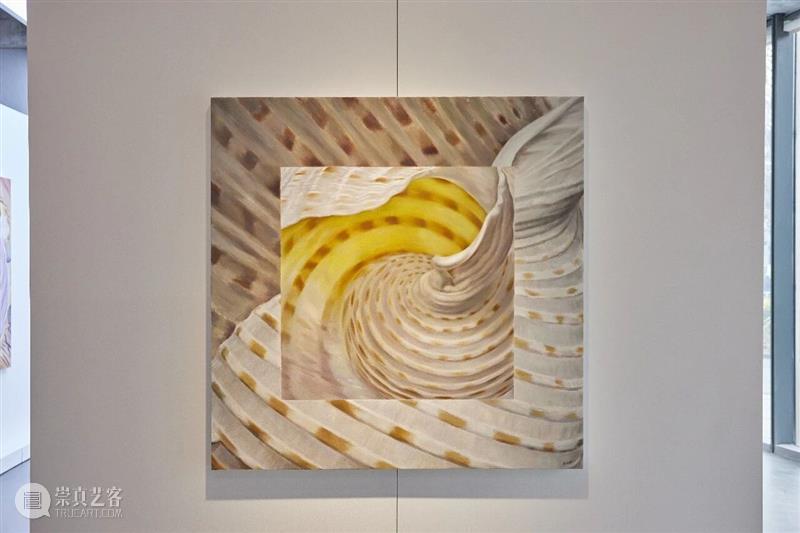 开幕现场丨柔软的共生——2026当代女性艺术家邀请展 崇真艺客