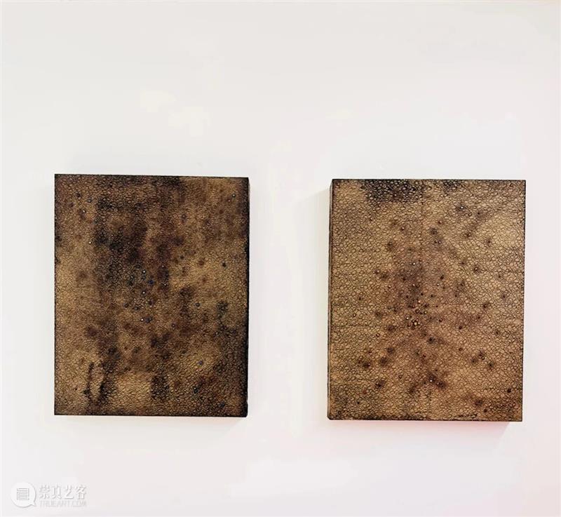 现象级个展登陆上海：谭大利“隐曜之域”于YOUNG美术馆启幕 崇真艺客