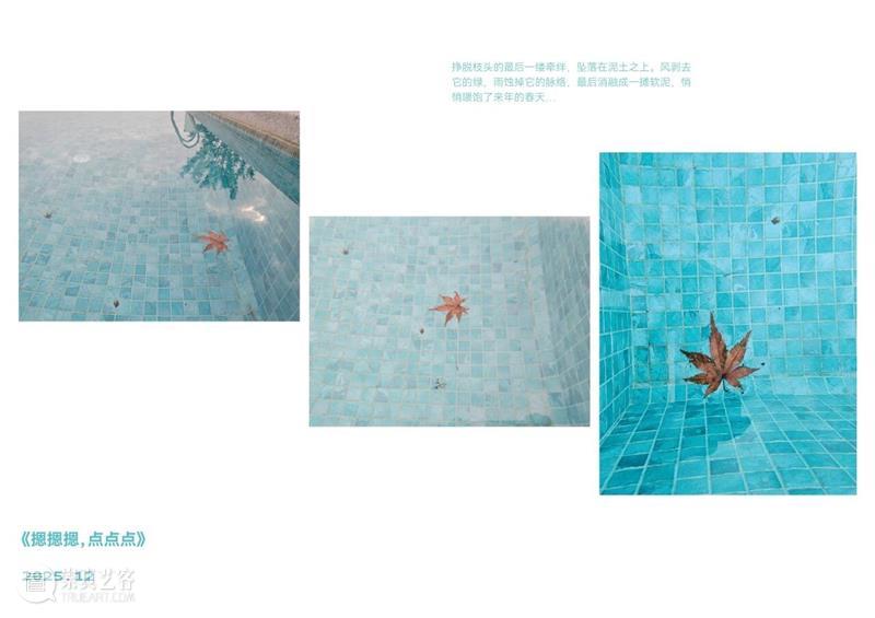 展览预告 | 此间艺事:深圳美术馆人的50年艺术现场 崇真艺客