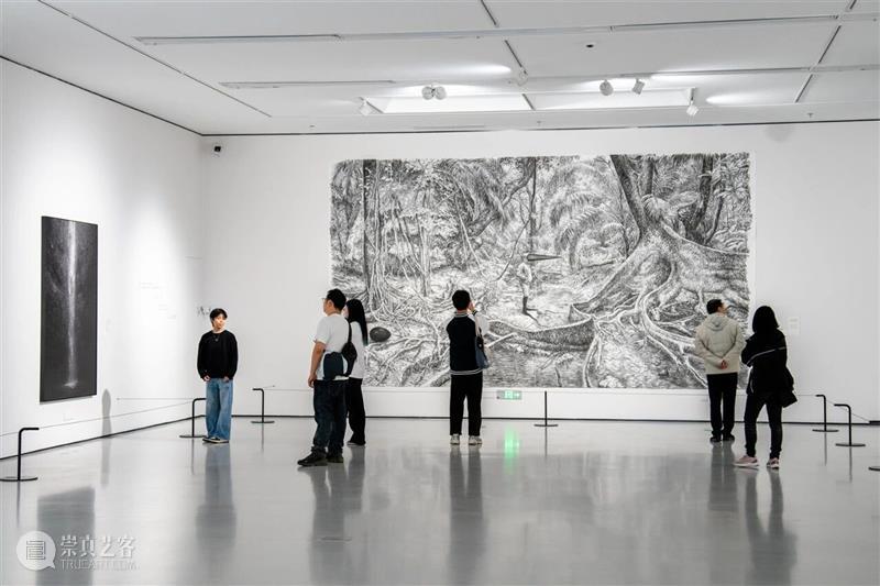 18位艺术家的“大地叙事”!“重回大地”展用多元艺术解锁栖居方式的新思考 崇真艺客