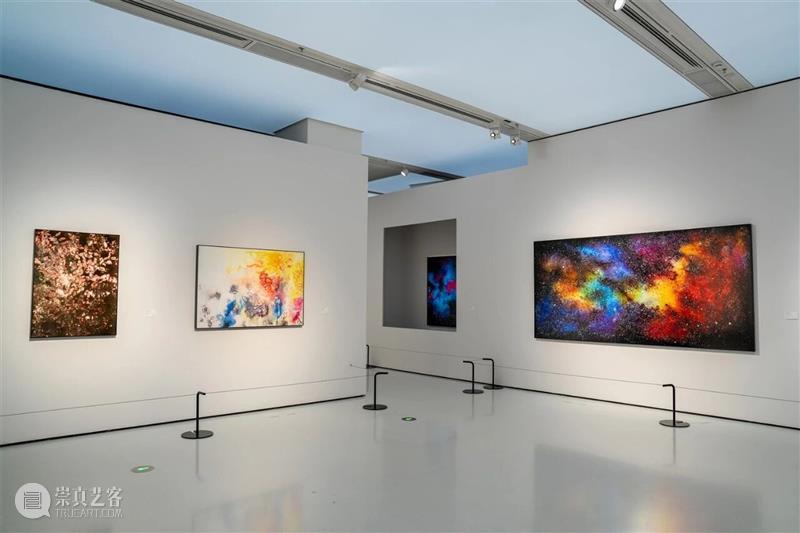 18位艺术家的“大地叙事”!“重回大地”展用多元艺术解锁栖居方式的新思考 崇真艺客