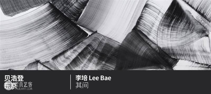贝浩登伦敦｜三人展“海之所止”：光与海天的抽象回响 崇真艺客