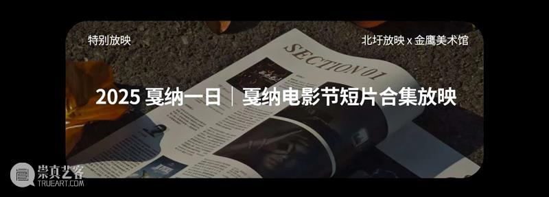 GM放映｜《公园》夜行，异乡者的游戏｜导演映后交流 崇真艺客