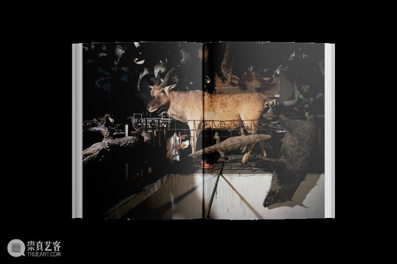 陈维《临时剧场》新书分享与讲座对谈  PHOTOFAIRS 崇真艺客