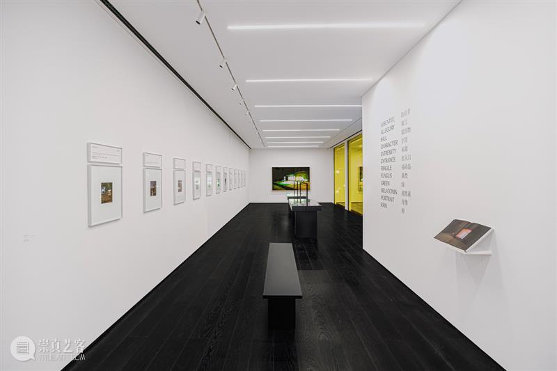 陈维《临时剧场》新书分享与讲座对谈  PHOTOFAIRS 崇真艺客