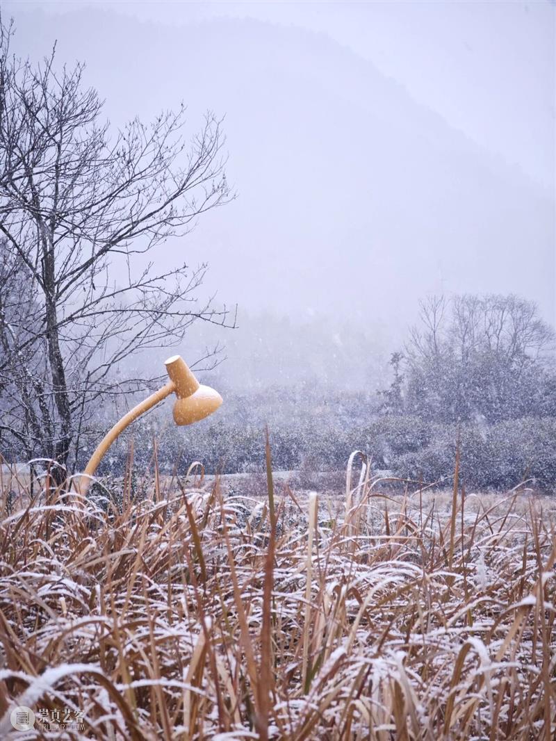 今日大寒，浮梁落雪啦！ 崇真艺客