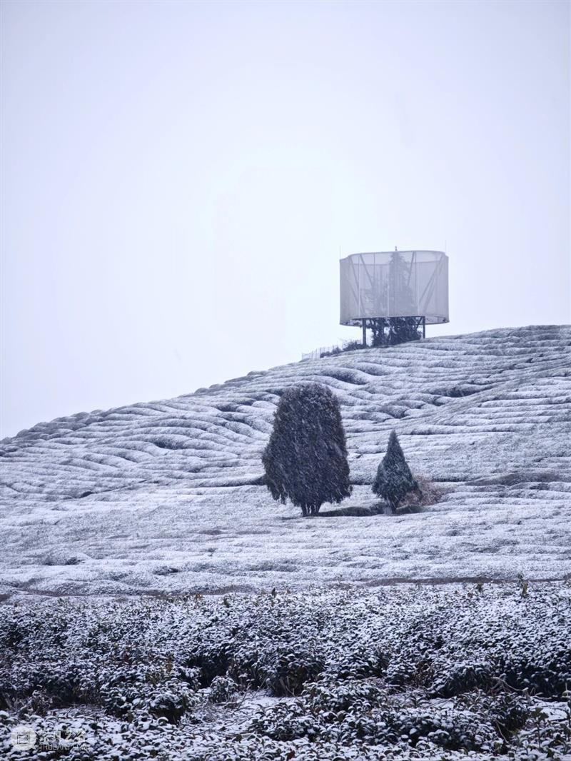 今日大寒，浮梁落雪啦！ 崇真艺客