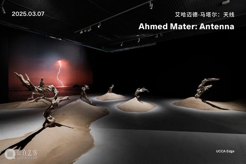 2025精彩展览回顾(1-6月) 崇真艺客