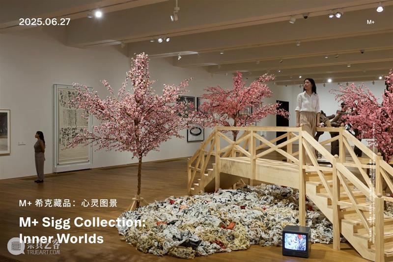 2025精彩展览回顾(1-6月) 崇真艺客