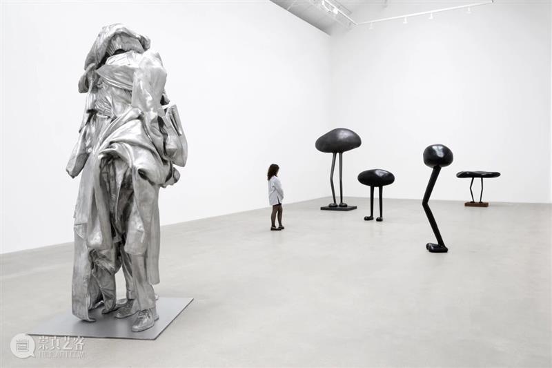 Ropac 巴黎展览｜欧文·沃姆（Erwin Wurm）个展 “明天：对” 崇真艺客