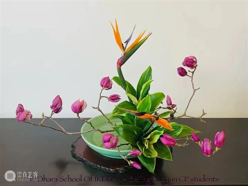 年度盘点|松美术馆的2025 崇真艺客