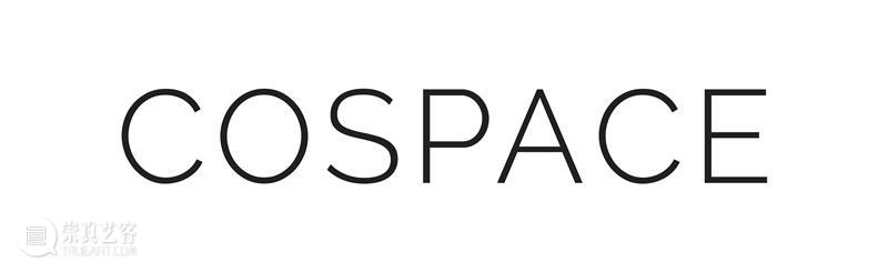 COSPACE ART SG2026 艺术家 - 仇德树 崇真艺客