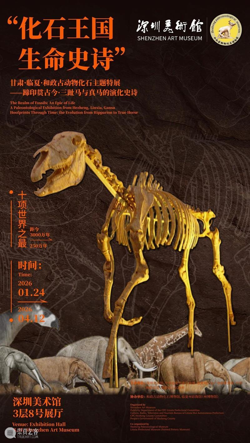 展览预告 | “化石王国·生命史诗”甘肃·临夏·和政古动物化石主题特展 崇真艺客