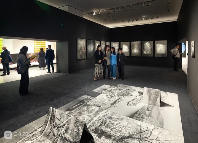 广东美术馆2026新年艺术季 | 品牌大展观展指南 ：解锁一场重构感知的视觉漫游 崇真艺客