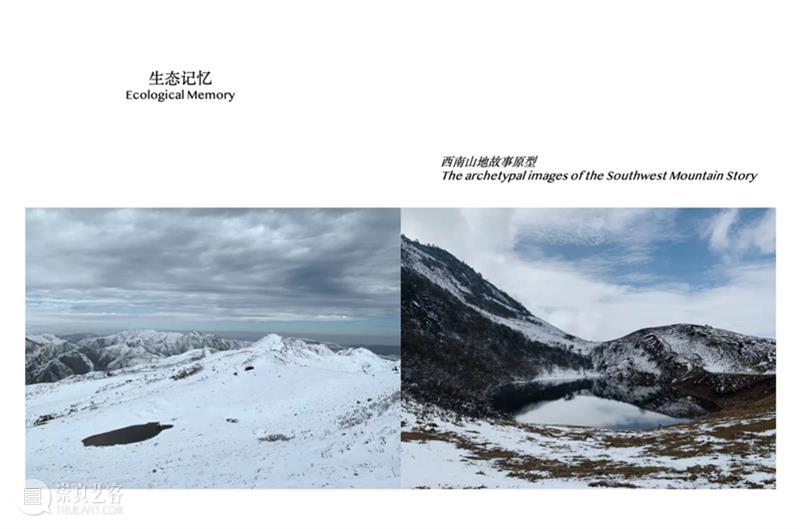 青年艺术现场 · 上半场 | 创造的现场:多元视角下的艺术实践 崇真艺客