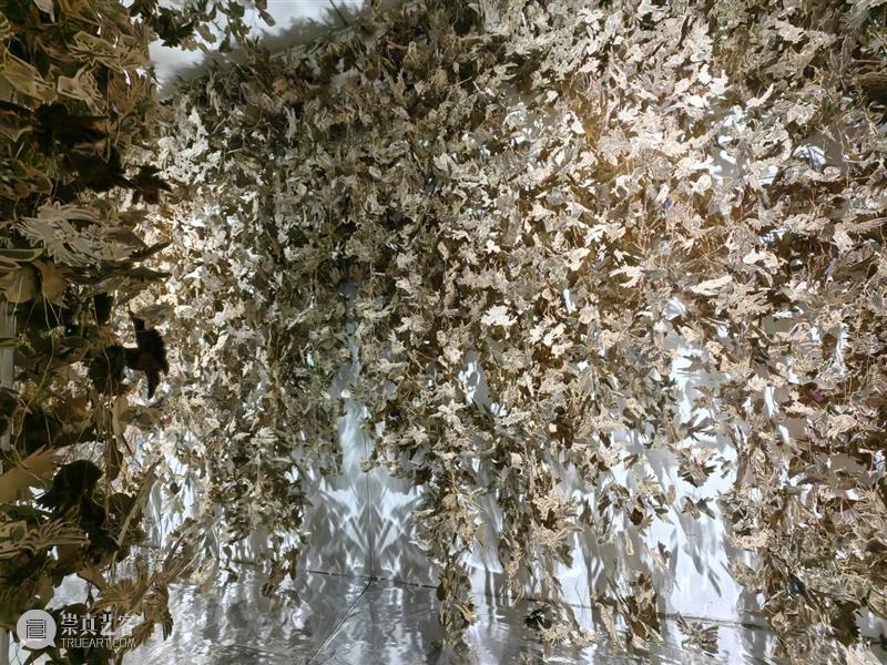 青年艺术现场 · 上半场 | 创造的现场:多元视角下的艺术实践 崇真艺客