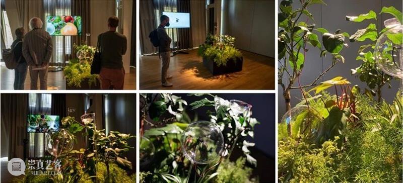 青年艺术现场 · 上半场 | 创造的现场:多元视角下的艺术实践 崇真艺客