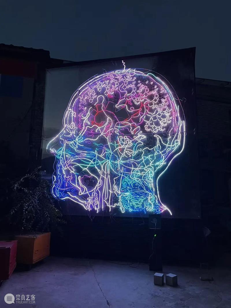 青年艺术现场 · 下半场 | 算法的想象力：AI与艺术未来式 崇真艺客