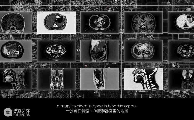 青年艺术现场 · 下半场 | 算法的想象力：AI与艺术未来式 崇真艺客