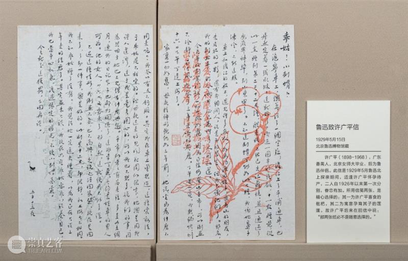 周日展厅互动演出预告 | “信与舞”寻找书信和情感的连接 崇真艺客