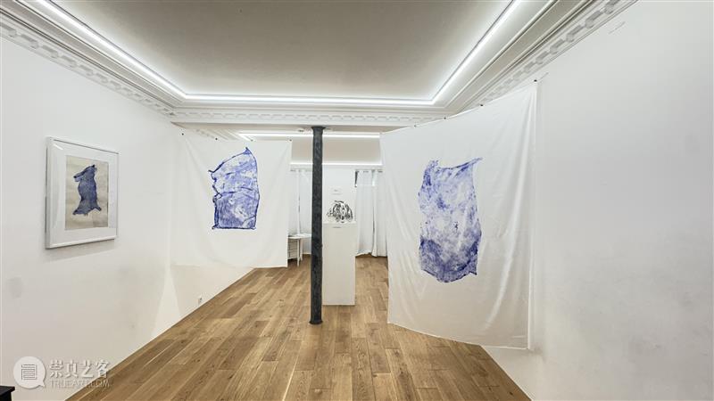 展览《STELLAR WITHIN｜星河深处》：在持续生成的空间里，让自我被自己“看见” 热点聚焦  STELLAR WITHIN 星河深处 Sparcart 崇真艺客