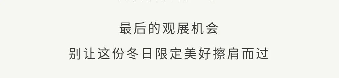 YAM 名展倒计时丨快来点亮画作里的浓墨重彩 崇真艺客