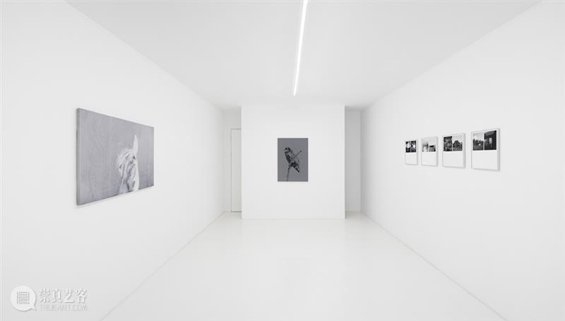 胶囊｜卢卡·坎佩斯特里：浇水｜展览现场 崇真艺客