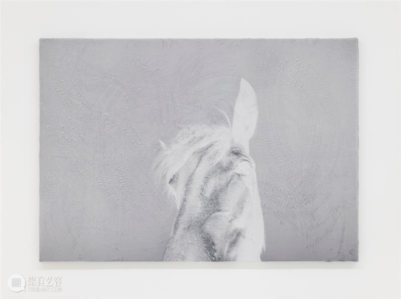 胶囊｜卢卡·坎佩斯特里：浇水｜展览现场 崇真艺客