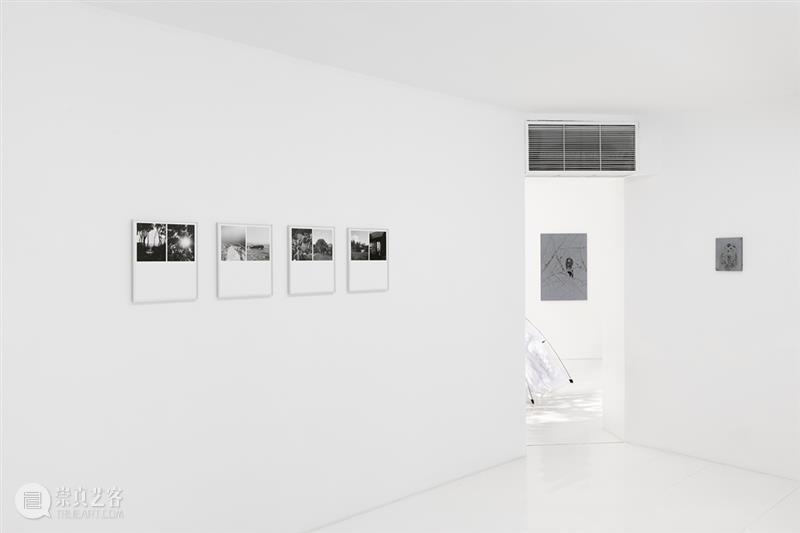 胶囊｜卢卡·坎佩斯特里：浇水｜展览现场 崇真艺客