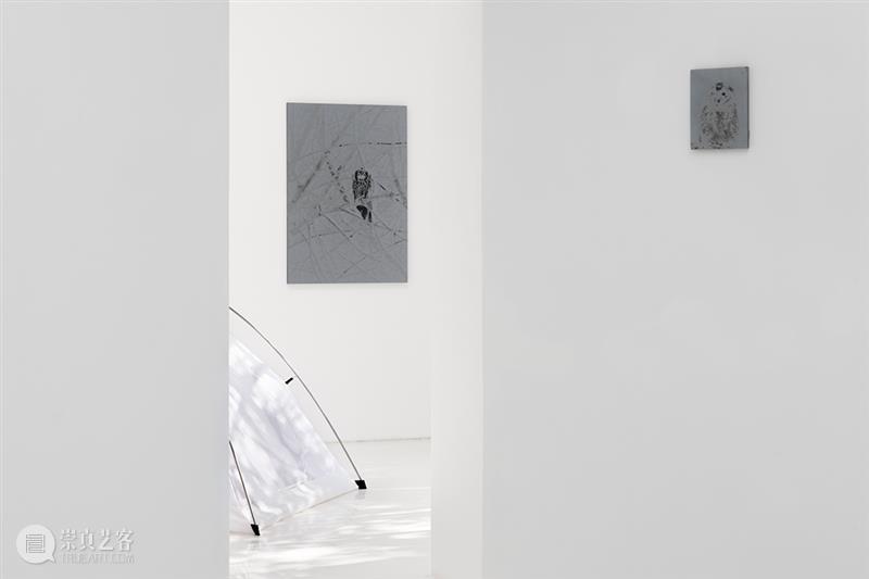 胶囊｜卢卡·坎佩斯特里：浇水｜展览现场 崇真艺客