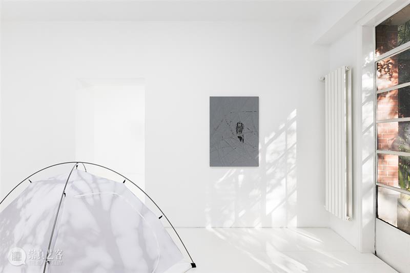 胶囊｜卢卡·坎佩斯特里：浇水｜展览现场 崇真艺客