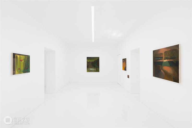 胶囊|郑喆欣:静默的渗透|展览现场 崇真艺客